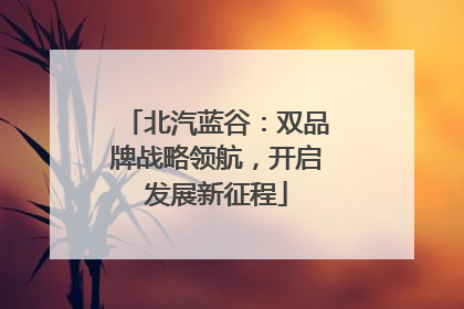 北汽蓝谷：双品牌战略领航，开启发展新征程