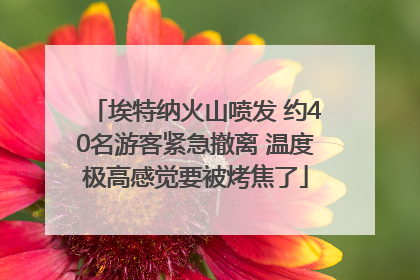 埃特纳火山喷发 约40名游客紧急撤离 温度极高感觉要被烤焦了