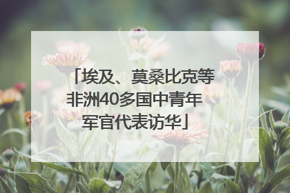 埃及、莫桑比克等非洲40多国中青年军官代表访华