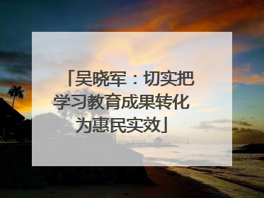 吴晓军：切实把学习教育成果转化为惠民实效