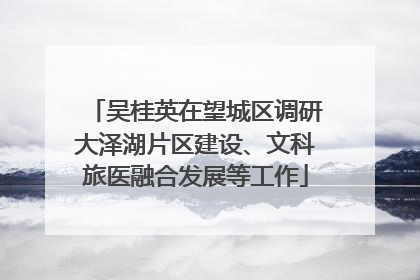 吴桂英在望城区调研大泽湖片区建设、文科旅医融合发展等工作