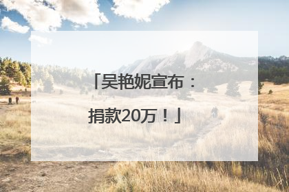 吴艳妮宣布：捐款20万！
