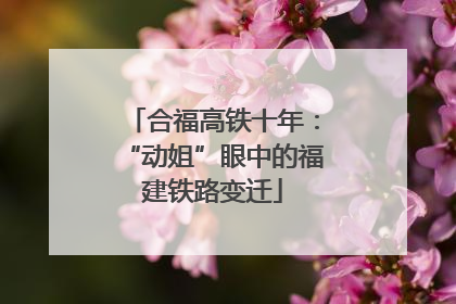 合福高铁十年：“动姐”眼中的福建铁路变迁