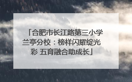 合肥市长江路第三小学兰亭分校：榜样闪耀绽光彩 五育融合助成长