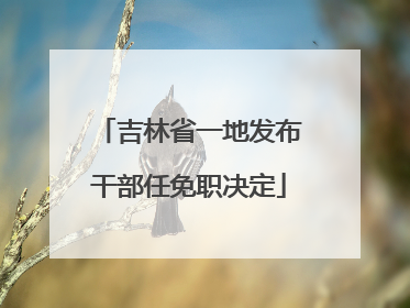 吉林省一地发布干部任免职决定