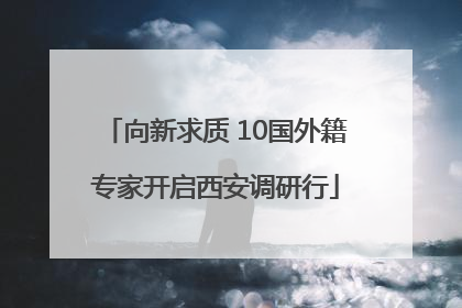 向新求质 10国外籍专家开启西安调研行