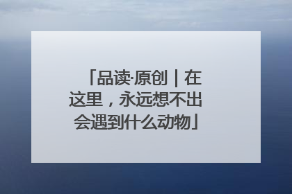 品读·原创｜在这里，永远想不出会遇到什么动物