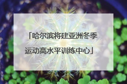 哈尔滨将建亚洲冬季运动高水平训练中心