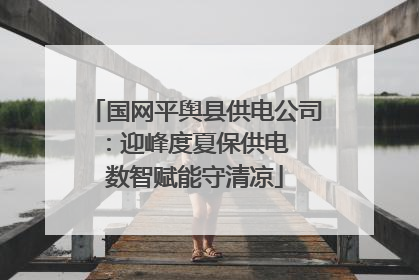 国网平舆县供电公司：迎峰度夏保供电  数智赋能守清凉