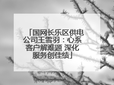国网长乐区供电公司王雪羽：心系客户解难题 深化服务创佳绩