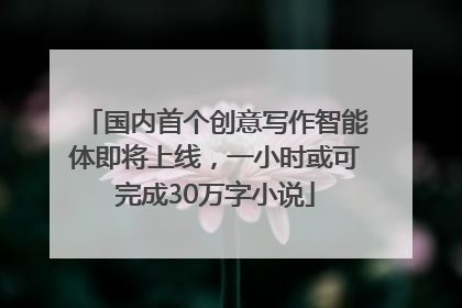 国内首个创意写作智能体即将上线，一小时或可完成30万字小说
