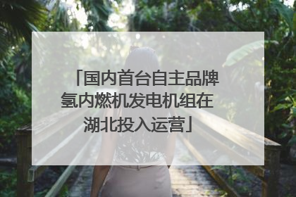 国内首台自主品牌氢内燃机发电机组在湖北投入运营