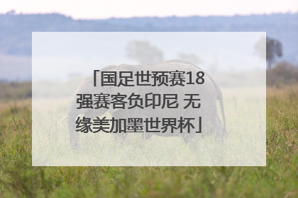 国足世预赛18强赛客负印尼 无缘美加墨世界杯