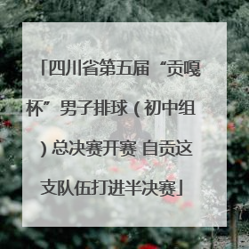 四川省第五届“贡嘎杯”男子排球（初中组）总决赛开赛 自贡这支队伍打进半决赛