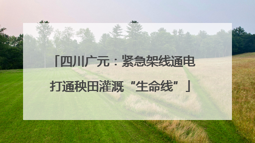 四川广元：紧急架线通电 打通秧田灌溉“生命线”