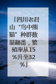 四川老君山“鸟中熊猫”种群数量翻番，繁殖率从15%升至32%