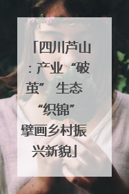 四川芦山：产业“破茧” 生态“织锦” 擘画乡村振兴新貌