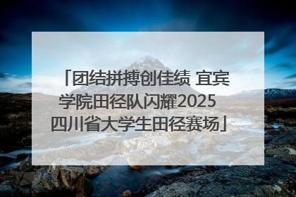 团结拼搏创佳绩 宜宾学院田径队闪耀2025四川省大学生田径赛场