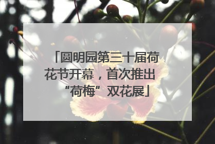 圆明园第三十届荷花节开幕，首次推出“荷梅”双花展