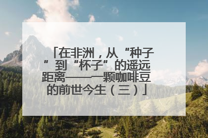 在非洲，从“种子”到“杯子”的遥远距离——一颗咖啡豆的前世今生（三）