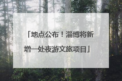 地点公布！淄博将新增一处夜游文旅项目