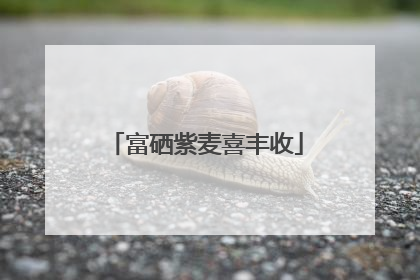富硒紫麦喜丰收
