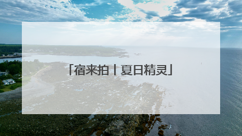 宿来拍丨夏日精灵