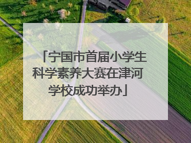 宁国市首届小学生科学素养大赛在津河学校成功举办