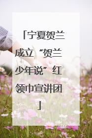 宁夏贺兰成立“贺兰少年说”红领巾宣讲团
