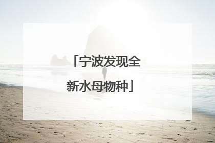 宁波发现全新水母物种