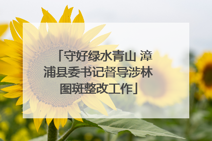 守好绿水青山 漳浦县委书记督导涉林图斑整改工作
