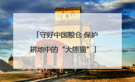 守好中国粮仓 保护耕地中的“大熊猫”