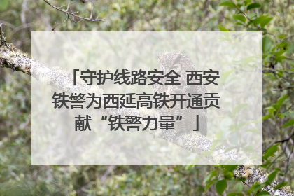 守护线路安全 西安铁警为西延高铁开通贡献“铁警力量”