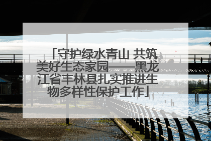 守护绿水青山 共筑美好生态家园——黑龙江省丰林县扎实推进生物多样性保护工作