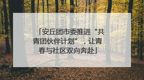 安丘团市委推进“共青团伙伴计划”，让青春与社区双向奔赴