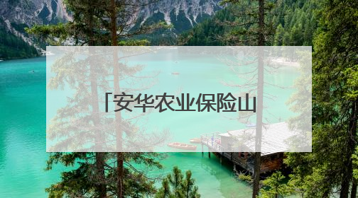 安华农业保险山东分公司以科技护航助农丰收