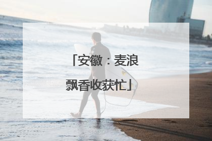 安徽：麦浪飘香收获忙