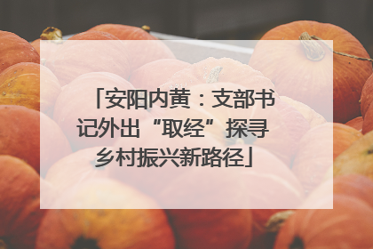 安阳内黄：支部书记外出“取经”探寻乡村振兴新路径