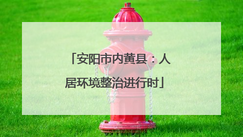 安阳市内黄县：人居环境整治进行时