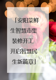 安阳菜鲜生智慧市集装修开工 开启智慧民生新篇章
