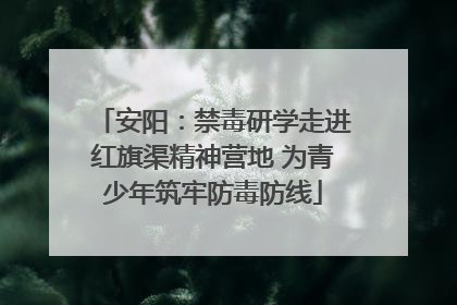 安阳：禁毒研学走进红旗渠精神营地 为青少年筑牢防毒防线