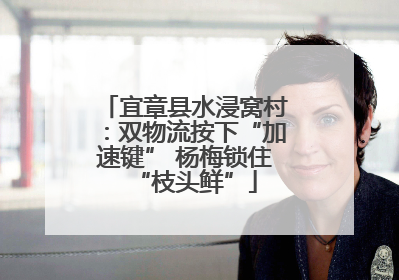 宜章县水浸窝村：双物流按下“加速键” 杨梅锁住“枝头鲜”