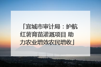 宜城市审计局：护航红薯育苗灌溉项目 助力农业增效农民增收