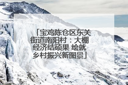 宝鸡陈仓区东关街道南阳村：大棚经济结硕果 绘就乡村振兴新图景