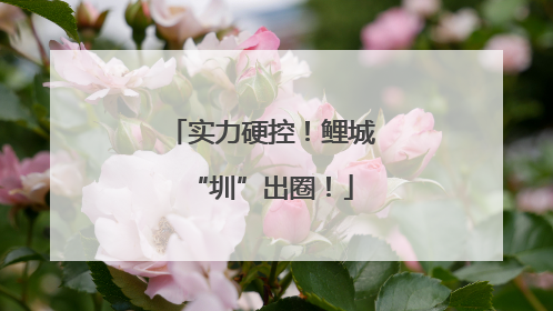 实力硬控！鲤城“圳”出圈！