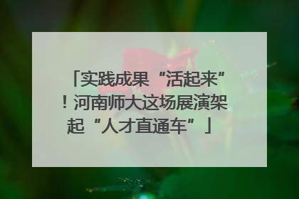 实践成果“活起来”！河南师大这场展演架起“人才直通车”