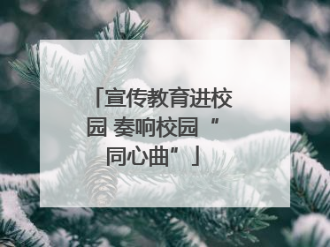 宣传教育进校园 奏响校园“同心曲”