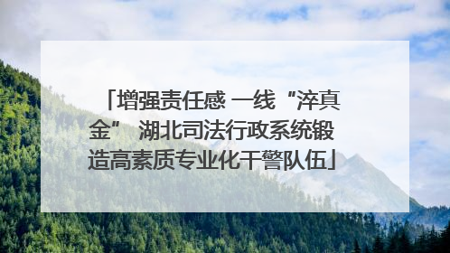 增强责任感 一线“淬真金” 湖北司法行政系统锻造高素质专业化干警队伍