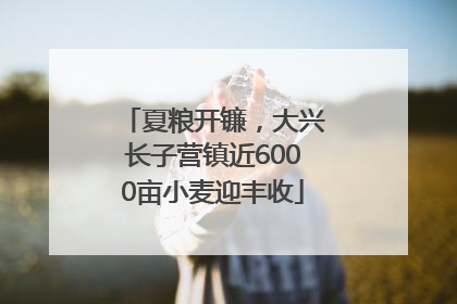 夏粮开镰，大兴长子营镇近6000亩小麦迎丰收