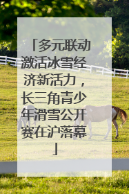 多元联动激活冰雪经济新活力，长三角青少年滑雪公开赛在沪落幕